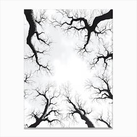 Bare Trees Canvas Print