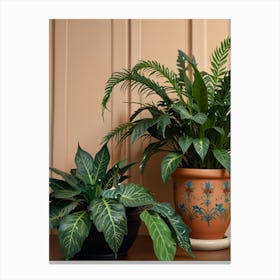 Ferns 1 Canvas Print