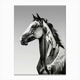 Horse With Feathers Canvas Print