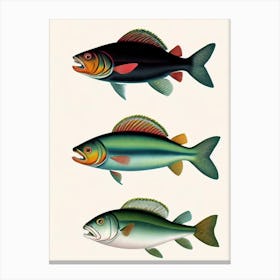 Piranha Vintage Poster Canvas Print