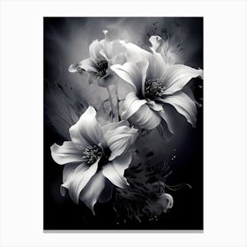 Black And White Flowers 2 Canvas Print