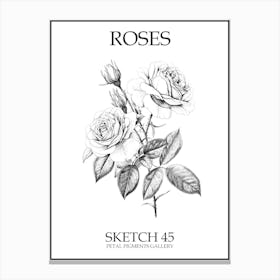 Roses Sketch 45 Poster Canvas Print