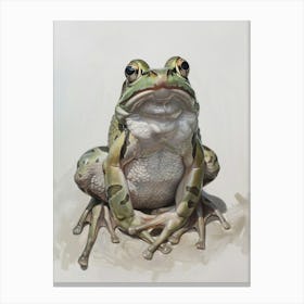 Frog Pastel Watercolour 2 Canvas Print