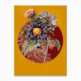 Vintage Botanical China Aster Aster Chinensis on Circle Red on Yellow n.0272 Canvas Print