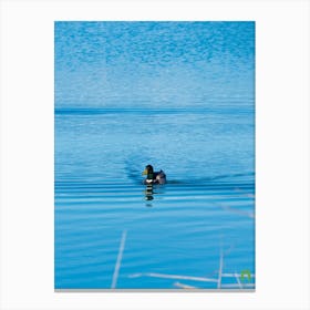 Duck In The Water 20220101 121ppub Canvas Print