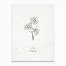 Aster Birth Flower | Antique Canvas Print