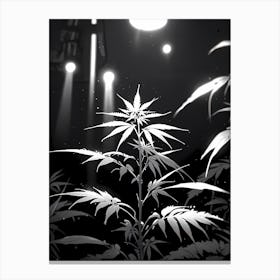 Marijuana Plant In The Dark Canvas Print