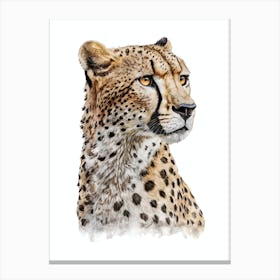 Cheetah Watercolor Painting Portrait Canvas Print