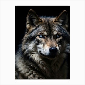 Wolf With Blue Eyes Canvas Print