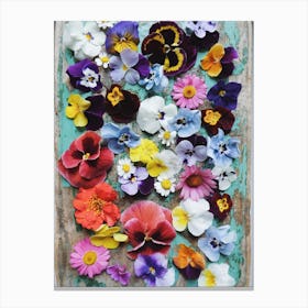 Pansy Collection Canvas Print
