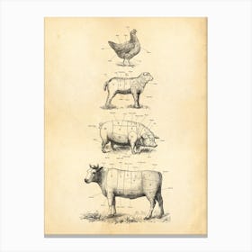 American Butcher Charts Cow Lamb Poultry Pork Canvas Print