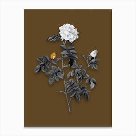 Vintage Pink Rosebush Black and White Gold Leaf Floral Art on Coffee Brown Canvas Print