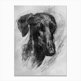 Sloughi Dog Charcoal Line Canvas Print