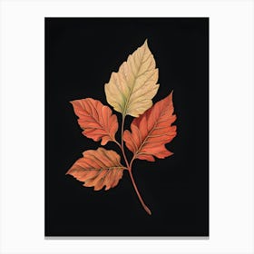 Autumn Leaves 14 Canvas Print