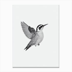 Woodpecker B&W Pencil Drawing 4 Bird Canvas Print