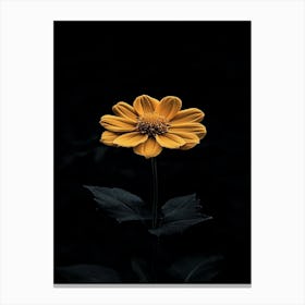 Yellow Flower 5 Canvas Print