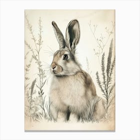English Angora Blockprint Rabbit Illustration 5 Canvas Print