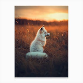 White Fox At Sunset. Generated AI. Art Print Canvas Print