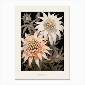 Flower Illustration Edelweiss 4 Poster Canvas Print