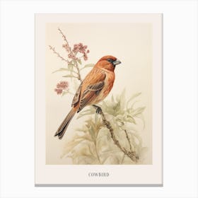 Vintage Bird Drawing Cowbird 3 Poster Canvas Print