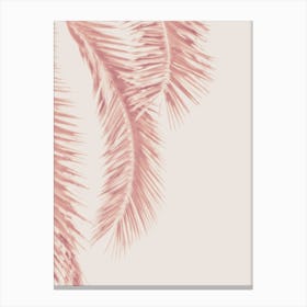 Rose Palm Leaves in Canvas Print