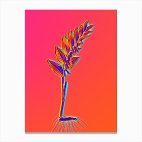 Neon Angular Solomon's Seal Botanical in Hot Pink and Electric Blue n.0174 Canvas Print