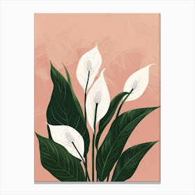 Peace Lily Plant Minimalist Illustration 4 Canvas Print