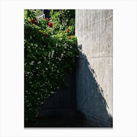 Cactus In The Garden Canvas Print