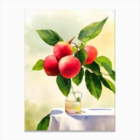 Lychee Italian Watercolour fruit Canvas Print