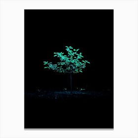 Glow In The Dark Tree Canvas Print