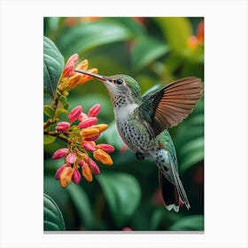 Hummingbird Canvas Print