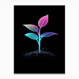 Neon Plant 39 Canvas Print