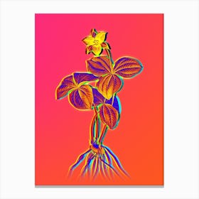 Neon Trillium Rhomboideum Botanical in Hot Pink and Electric Blue n.0143 Canvas Print