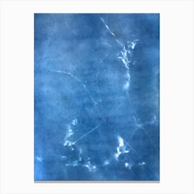 'Blue Water' Canvas Print