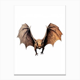 Big Brown Bat Vintage Illustration 1 Canvas Print