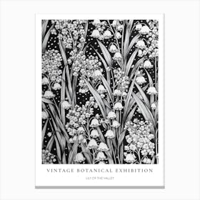 Lily Of The Valley 2 B&W Vintage Botanical Poster Canvas Print