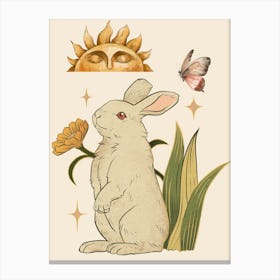 Bunny Canvas Print