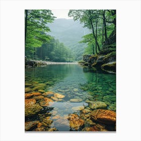 Clear Water In A Mountain Stream 1 Canvas Print