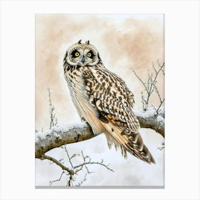 Short Eared Owl Painting 3 Canvas Print