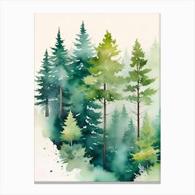 Watercolor Of Pine Trees Canvas Print