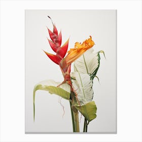 Pressed Flower Botanical Art Heliconia 2 Canvas Print