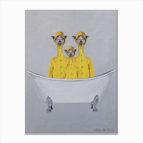 Giraffes In Raincoats In Bathtub Canvas Print