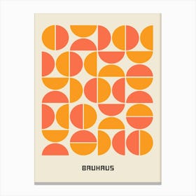 Bruunus Canvas Print