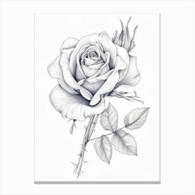 Roses Sketch 29 Canvas Print