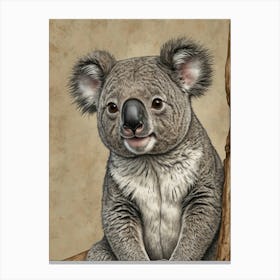 Koala Bear 7 Canvas Print