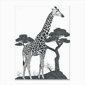 Giraffe Browsing High Treetops Canvas Print