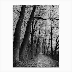 Idyllic forest path with deciduous trees in autumn time in black white Canvas Print