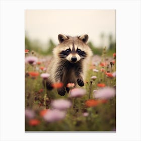 Cute Funny Bahamian Raccoon Running On A Field 3 Canvas Print