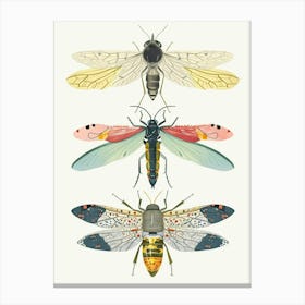 Colourful Insect Illustration Whitefly 5 Canvas Print