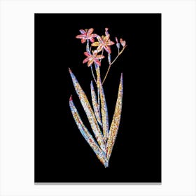 Stained Glass Blackberry Lily Mosaic Botanical Illustration on Black n.0101 Canvas Print